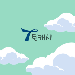 틴캐시(핀번호)